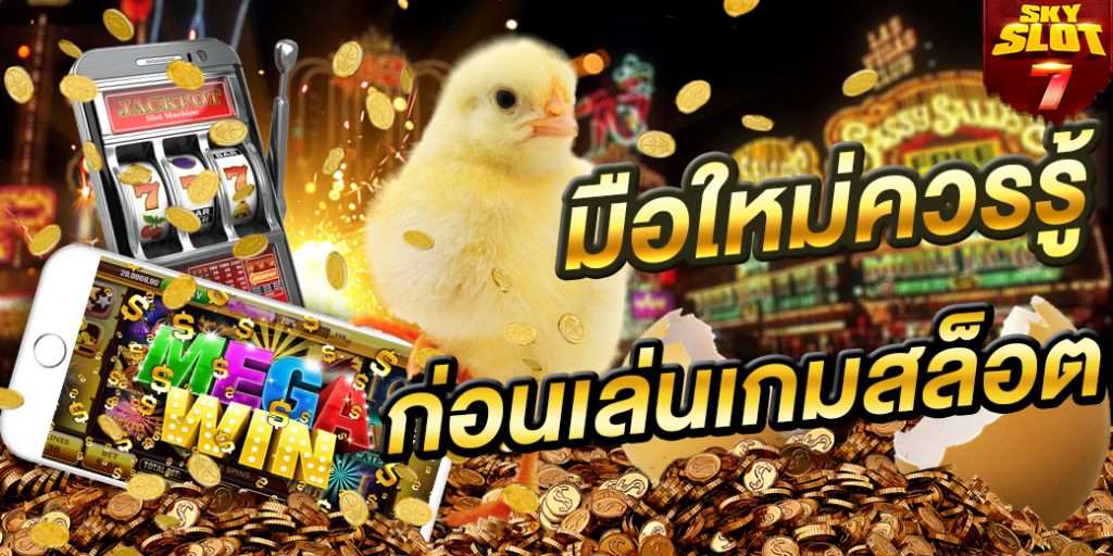 เว็บสล็อต ข้อปฏิบัติที่นักพนันมือใหม่ควรทำ